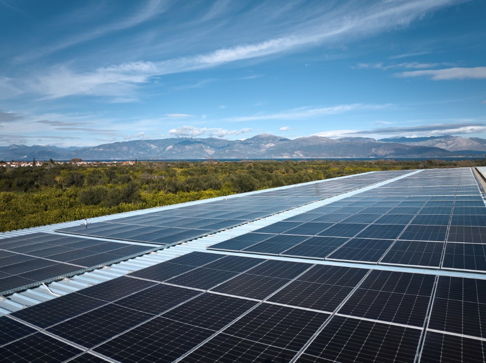 CCH-OAR-2025-growth-pillar-license-to-operate