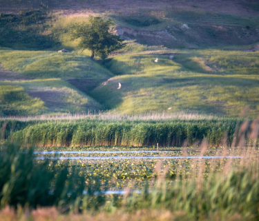 cch-sustainability-journey-at-a-glance-teaser