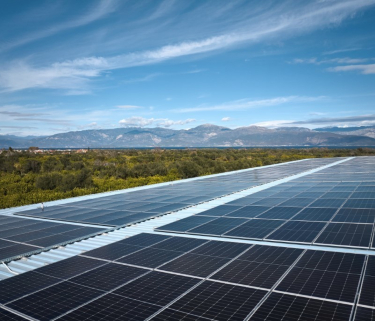 cchbc-oar2025-licence-to-operate-teaser