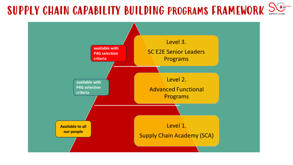 supply-chain-capability