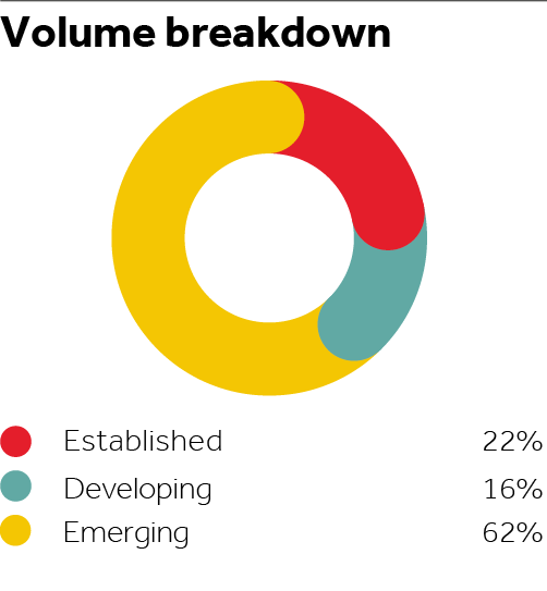 volume breakdown by segment