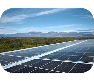 Untitled design - net-zero=emissions